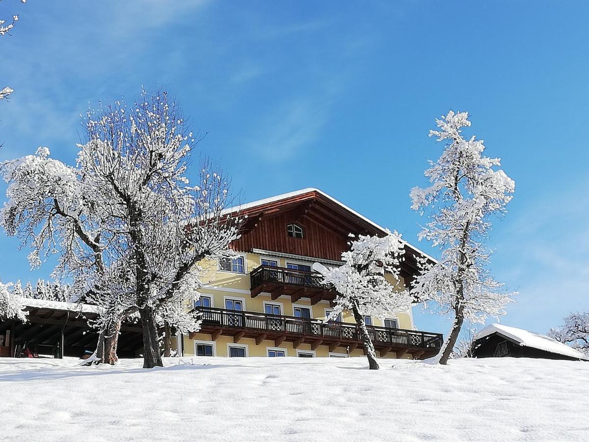 Appartement Bio-Bauernhof Einberghof à Pfarrwerfen Extérieur photo