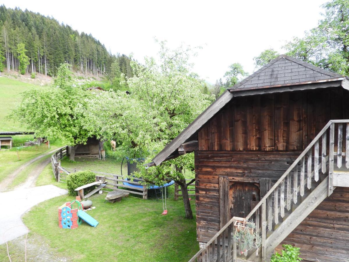 Appartement Bio-Bauernhof Einberghof à Pfarrwerfen Extérieur photo