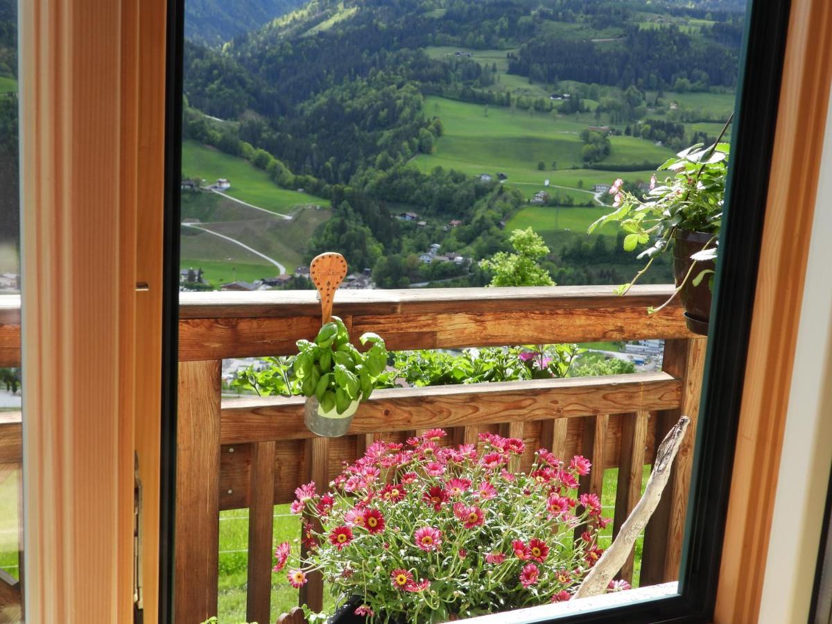 Appartement Bio-Bauernhof Einberghof à Pfarrwerfen Extérieur photo
