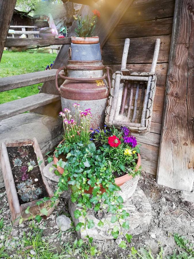 Appartement Bio-Bauernhof Einberghof à Pfarrwerfen Extérieur photo