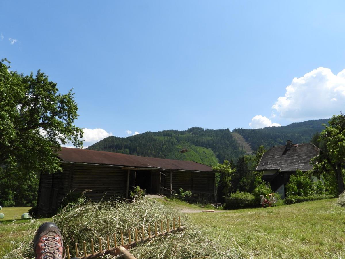 Appartement Bio-Bauernhof Einberghof à Pfarrwerfen Extérieur photo