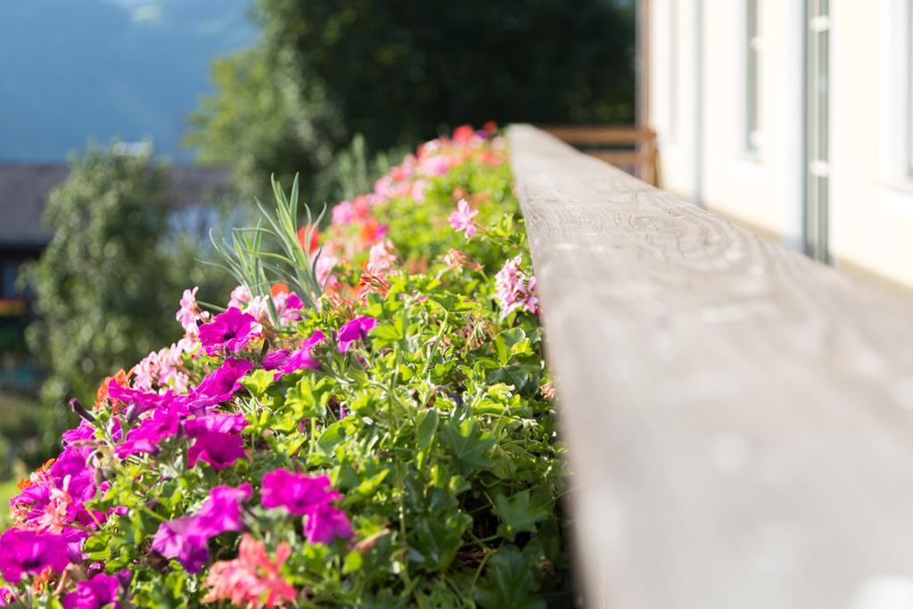 Appartement Bio-Bauernhof Einberghof à Pfarrwerfen Extérieur photo