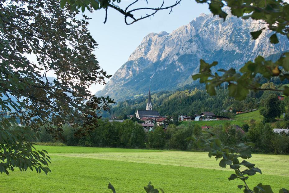 Appartement Bio-Bauernhof Einberghof à Pfarrwerfen Extérieur photo