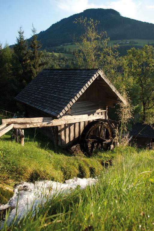 Appartement Bio-Bauernhof Einberghof à Pfarrwerfen Extérieur photo