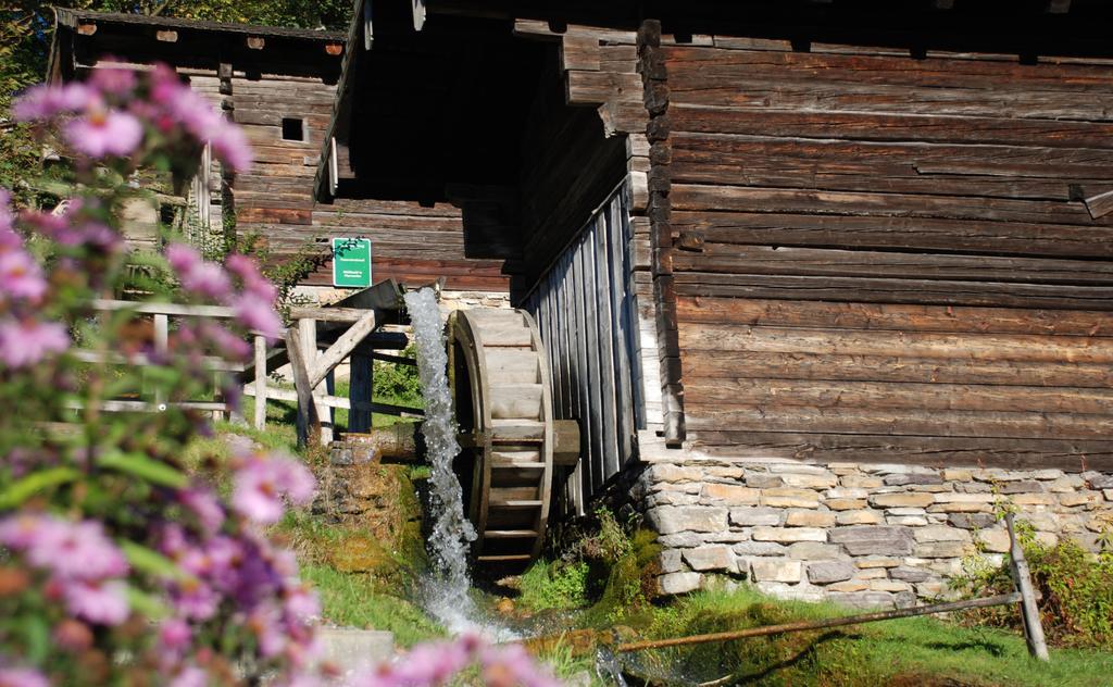 Appartement Bio-Bauernhof Einberghof à Pfarrwerfen Extérieur photo